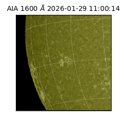 saia - 2026-01-29T11:00:14.125000