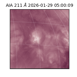 saia - 2026-01-29T05:00:09.633000