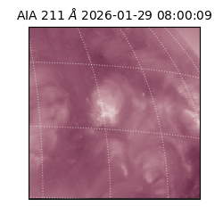 saia - 2026-01-29T08:00:09.623000