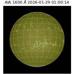 saia - 2026-01-29T01:00:14.126000
