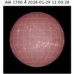 saia - 2026-01-29T11:00:28.710000