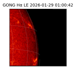 gong - 2026-01-29T01:00:42