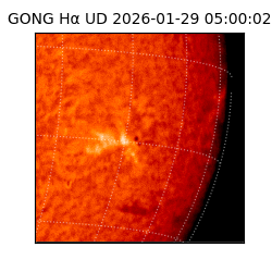 gong - 2026-01-29T05:00:02