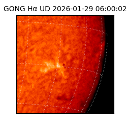 gong - 2026-01-29T06:00:02