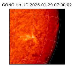 gong - 2026-01-29T07:00:02