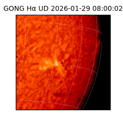 gong - 2026-01-29T08:00:02