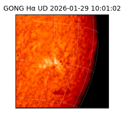 gong - 2026-01-29T10:01:02