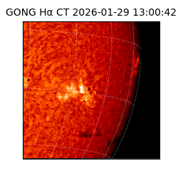 gong - 2026-01-29T13:00:42