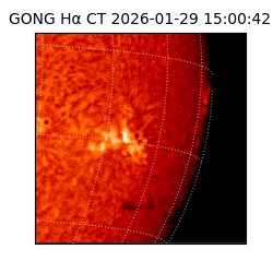 gong - 2026-01-29T15:00:42