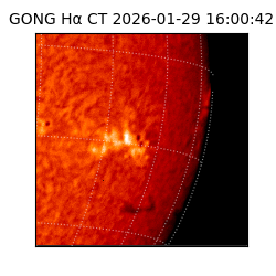gong - 2026-01-29T16:00:42
