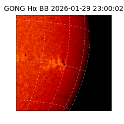 gong - 2026-01-29T23:00:02