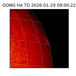 gong - 2026-01-29T09:00:22