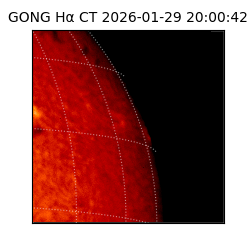 gong - 2026-01-29T20:00:42