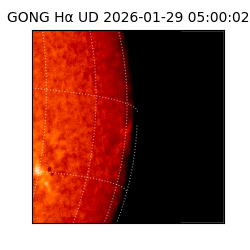 gong - 2026-01-29T05:00:02