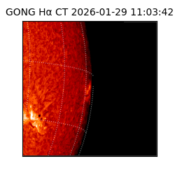 gong - 2026-01-29T11:03:42