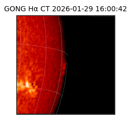gong - 2026-01-29T16:00:42