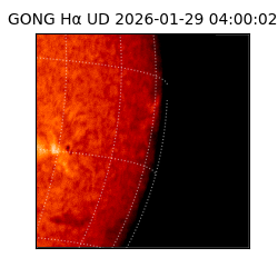 gong - 2026-01-29T04:00:02