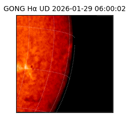 gong - 2026-01-29T06:00:02