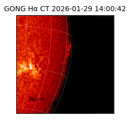 gong - 2026-01-29T14:00:42