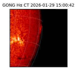gong - 2026-01-29T15:00:42