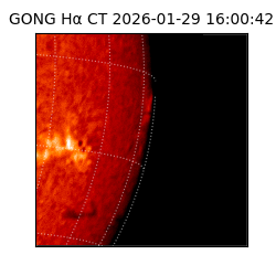 gong - 2026-01-29T16:00:42