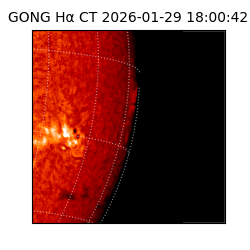 gong - 2026-01-29T18:00:42