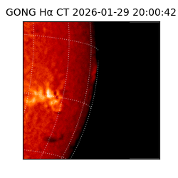 gong - 2026-01-29T20:00:42