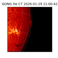gong - 2026-01-29T21:00:42