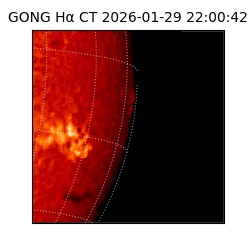gong - 2026-01-29T22:00:42