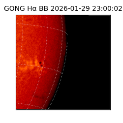 gong - 2026-01-29T23:00:02