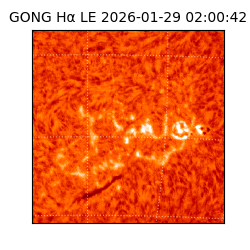 gong - 2026-01-29T02:00:42