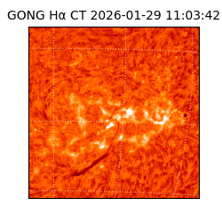 gong - 2026-01-29T11:03:42