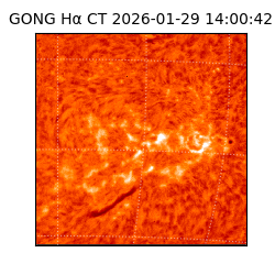 gong - 2026-01-29T14:00:42