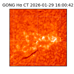 gong - 2026-01-29T16:00:42