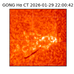 gong - 2026-01-29T22:00:42