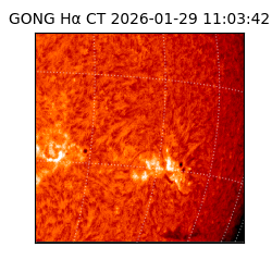 gong - 2026-01-29T11:03:42