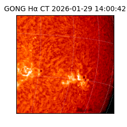 gong - 2026-01-29T14:00:42