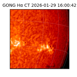 gong - 2026-01-29T16:00:42