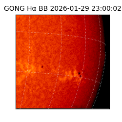 gong - 2026-01-29T23:00:02