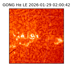 gong - 2026-01-29T02:00:42