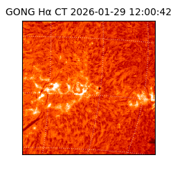 gong - 2026-01-29T12:00:42