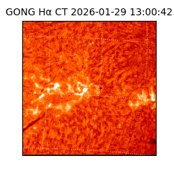 gong - 2026-01-29T13:00:42