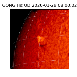 gong - 2026-01-29T08:00:02