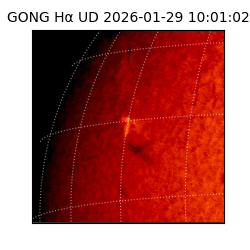gong - 2026-01-29T10:01:02