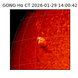 gong - 2026-01-29T14:00:42