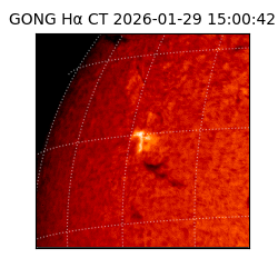 gong - 2026-01-29T15:00:42