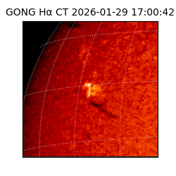 gong - 2026-01-29T17:00:42