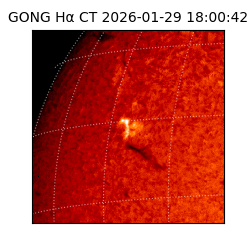 gong - 2026-01-29T18:00:42