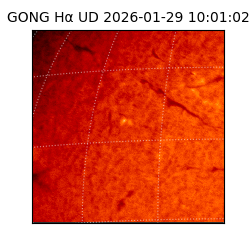 gong - 2026-01-29T10:01:02