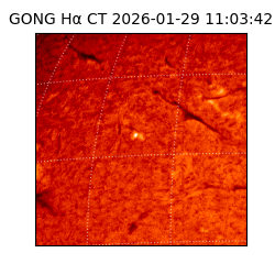 gong - 2026-01-29T11:03:42